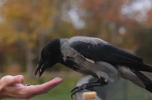 They’ll Send Shivers Down Your Spine  They’ll Send Shivers Down Your Spine