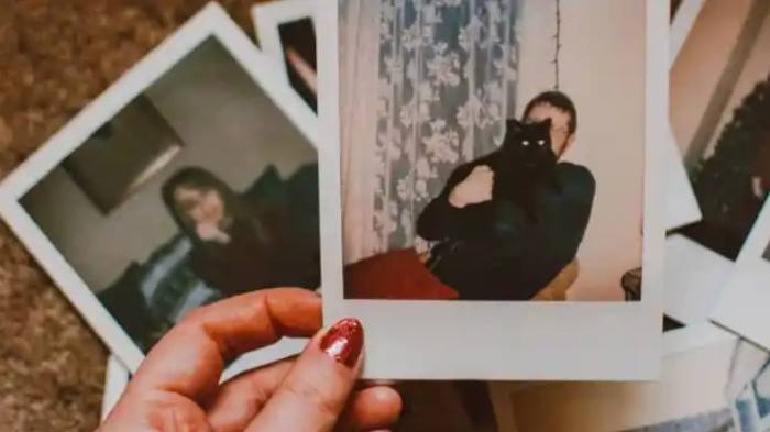 Groom Gets Bride's DNA Test Results And Cancels Wedding Immediately